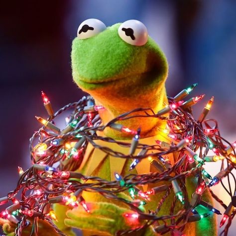 Pfp Christmas, Christmas Pfp, Christmas Playlist, Hilarious Photos, Kermit The Frog, Perfect Moment, Sports Teams, The Frog, Christmas 2024