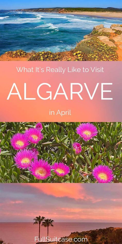 Algarve in April: What to Expect, Weather & Seasonal Tips Portugal In April, Swim In The Sea, Portugal Travel Guide, Visit Portugal, Algarve Portugal, Amazing Travel Destinations, Portugal Travel, Useful Tips, Boat Trips