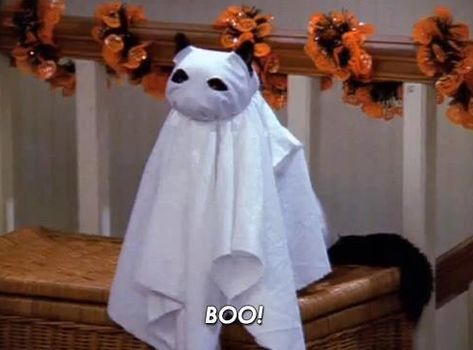 Sabrina the Teenage Witch, “A Halloween Story.” | The 27 Halloween Specials You Need To Watch Before Oct. 31 Salem Saberhagen, Salem Cat, Salem Halloween, The Awkward Yeti, Nostalgic 90s, Mood Aesthetic, Halloween Facts, Morticia Addams, Childhood Nostalgia