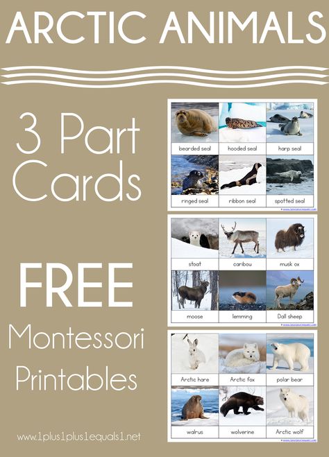 Winter Animals Preschool Activities, Arctic Animals Printables, Arctic Animals Preschool Activities, Animals Preschool Activities, Polar Animals Preschool, Winter Animals Preschool, Winter Lesson Plans, Habitat Diorama, Arctic Animals Preschool