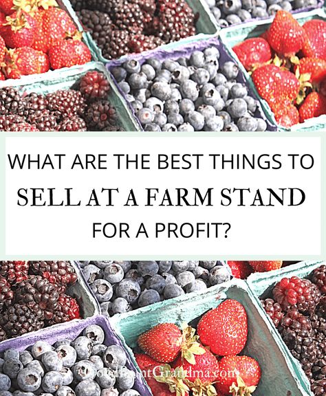 What Are The Best Things To Sell At A Farm Stand For A Profit? What To Sell In A Farm Stand, Starting A Farm Stand, Farm Stands Ideas, Homestead Farm Stand, Things To Sell At Farm Stand, Farm Stand Items To Sell, Produce Stand Roadside, Farmstand Ideas Small Farm, What To Sell At Farmers Market