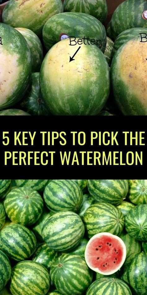 When To Pick Watermelon, Picking Watermelon, Short People Humor, Banana Peel Uses, Perfect Watermelon, Growing Vegetables In Pots, Romantic Nature, Get Rid Of Warts, Home Remedies For Acne