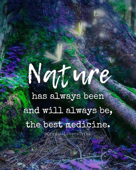 Nature Medicine Quotes, Connect With Nature Quotes, Quotes About Nature And Peace, Nature Therapy Quotes, Words About Nature, Organic Quote, Nature Lover Quotes, Quotes About Nature, Forest Quotes