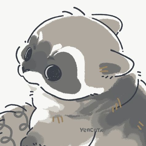 Volk. on Twitter: "Illustrations de l'artiste JR "Jars" Eisma. https://t.co/Et22LXpVXv" / Twitter Cute Raccoon Art, Racoon Sticker, Koala Art, Raccoon Drawing, Raccoon Art, 강아지 그림, Cute Raccoon, Anime Animals, Kawaii Animals