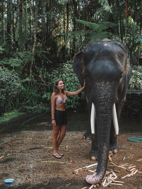 Mason Elephant Sanctuary in Bali, Indonesia Instagram: jonny.melon Bali Elephant, Elephant Rescue, Bali Baby, Elephant Park, Bali Honeymoon, Bali Guide, Voyage Bali, Bali Vacation, Bali Holidays