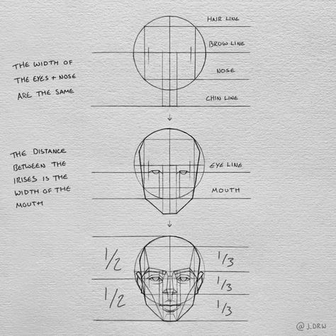 𝑱𝑨𝑪𝑲’s Instagram profile post: “The basic proportions of the face:) I hope it makes sense aha 😬 • See bio for a FREE trial of Skillshare Premium! #arts_help #anatomy #face…” Face Proportions Drawing, Head Proportions, Portrait Drawing Tips, Drawing Proportions, Face Proportions, Face Anatomy, Drawing Tutorial Face, Drawing Heads, Portraiture Drawing