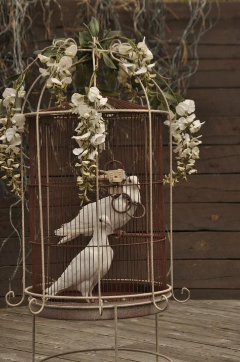 Dove Wedding Theme, Dove Release, Snow White Wedding, Bird In A Cage, Fire And Desire, Wedding Doves, Angel Theme, Sand Candles, Tropical Wedding Flowers