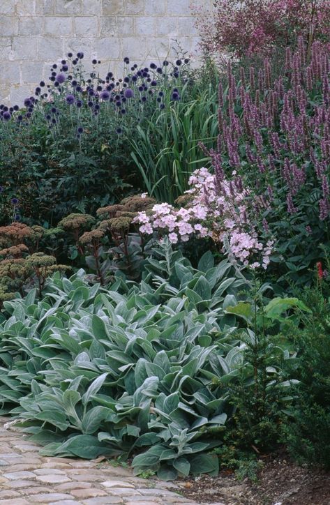 Garden Visit: A Green Palette at Christopher Bradley-Hole’s Bury Court Green Palette, Have Inspiration, Pet Animals, Mediterranean Garden, Plant Combinations, Garden Borders, Plants And Flowers, Garden Cottage, Shade Garden