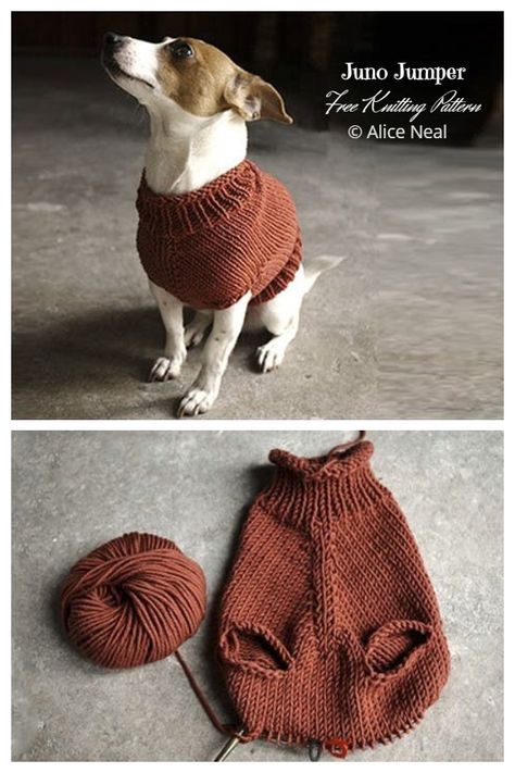 Knit Dog Sweater Free Knitting Patterns - Knitting Pattern Knit Pet Sweater Free Pattern, Knit Sweater For Cat, Knitted Small Dog Coat Pattern Free, Doggie Sweater Knit Pattern Free, Knitting Cat Sweater, Cat Clothes Knitting Pattern, Sweater For Cat Pattern, Cat Sweater Knitting Pattern Easy Free, Knit Dog Scarf Free Pattern