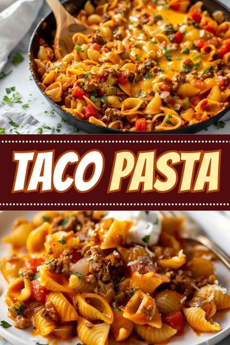 Transform Taco Tuesday with this incredible taco pasta! Packed with ground beef, salsa, veggies, shells, and cheese, everyone will devour it! Summer Meals Ground Beef, Sea Shell Pasta Recipes, Taco Pasta Recipes Easy, Mexican Dish With Ground Beef, Ground Beef With Pasta Recipes, Pasta Bowls Recipe, Stuff Taco Shells Ground Beef, Quick And Easy Pasta Dinner Recipes, Medium Pasta Shell Recipes