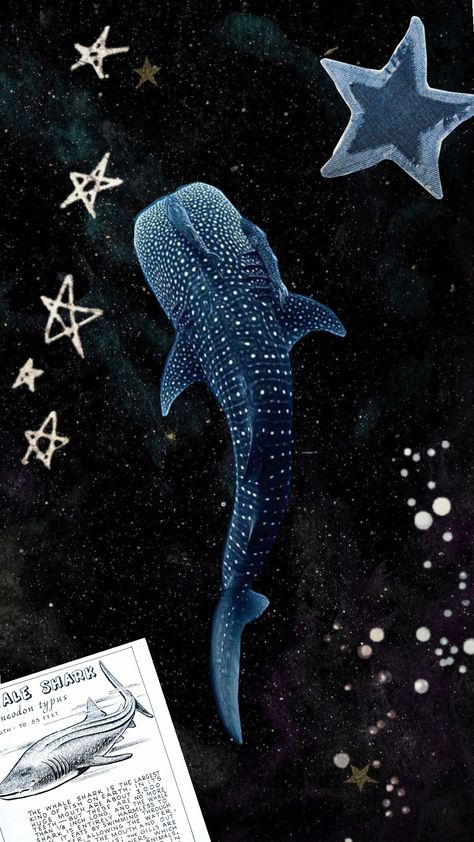 Whale Shark Lockscreen, Whale Shark Wallpaper Iphone, Iphone Wallpaper Whale, Shark Aesthetic Wallpaper, Whale Shark Wallpaper, Shark Posters, Shark Wallpaper Iphone, Whale Shark Art, Africa Pattern