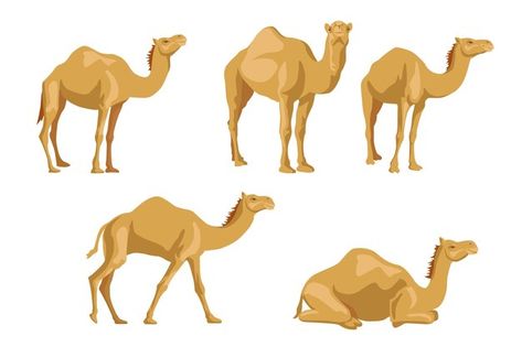 Camels Illustration, Male And Female Signs, Bible Story Book, Camels Art, Chicken Cat, Desert Sahara, Minimal Logo Design, Abstract Art Wallpaper, Cat Pet