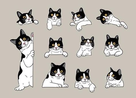 hand holding cute cats set. cartoon cat in hands. 27175637 Vector Art at Vecteezy Cat Pose Drawing, Holding Cat Pose, Up Cartoon, Tuxedo Cats, Stood Up, Vi Design, Cat Pose, The Cartoon, Hand Holding