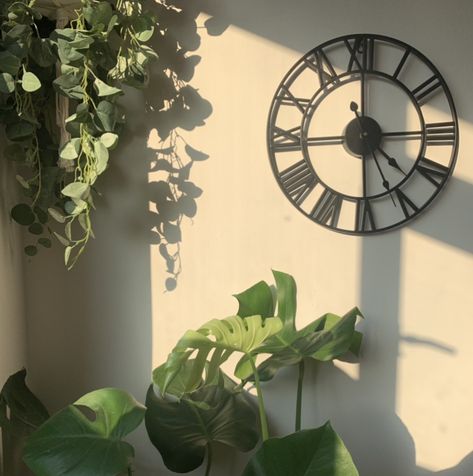 Aesthetic Wall Clocks, Wall Clock Aesthetic, Aesthetic Wall Clock, Clock Ideas, Green Architecture, Plant Aesthetic, Sunset Aesthetic, Aesthetic Wall, Wooden Clock