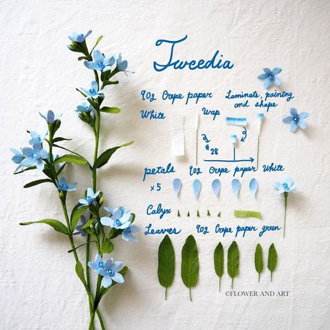 Tweedia🌿 The flower Blue Star is often seen at the flower shop around this time of the year. Its name has ‘star’ in it because it has… | Instagram Fondant Flower Tutorial, Paper Flower Art, Paper Plants, Paper Bouquet, Seni Origami, Paper Flower Template, How To Make Paper Flowers, Crepe Paper Flowers, Paper Flowers Craft