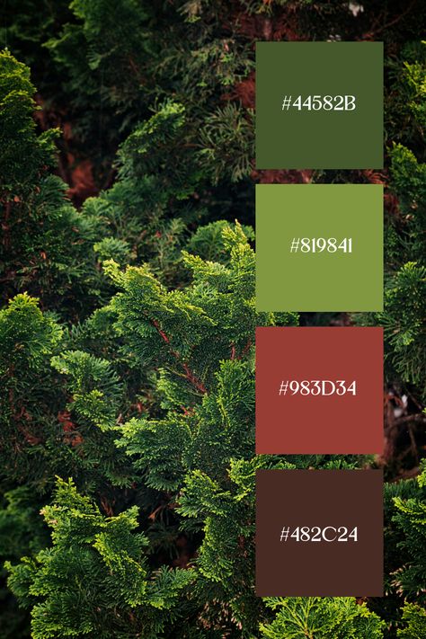 Brown and Green Color Palette: Dense greenery with a backdrop of brown bark, showcasing the vibrant hues of the leaves. The interplay of green and brown creates a deep, forest-like ambiance. Complementary Green Colors, Green Red Brown Color Palette, Forest Green Color Pallete, Spring Forest Color Palette, Green Complimentary Color Palette, Color Palettes With Green, Green Color Palette Combination, Tropical Colour Palette, Color Pallete Green