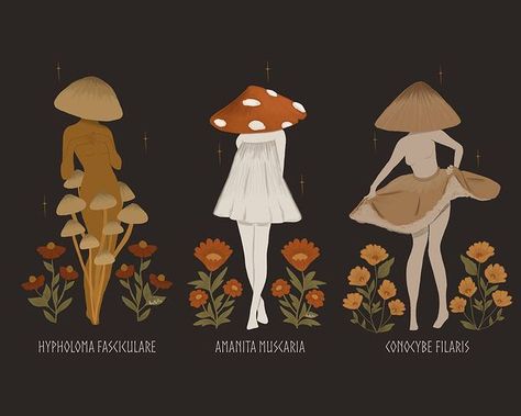 Anette Illustrations в Instagram: «Mushroom Maidens 🍄 These fatal fancy fungi are up for adoption as single prints or as a pack of three in my Etsy! The link is in my bio ❤…» Mushroom Costume, Mushroom Pictures, Mushroom Drawing, Mushroom Art, Etsy Art, Print Packaging, The Nature, Creature Design, Art Sketchbook