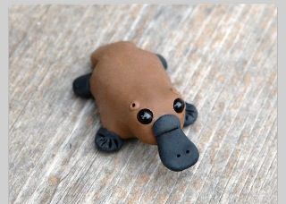 Platypus made out of clay. So cute! Polymer Clay Platypus, Animals To Make Out Of Clay, Polymer Clay Miniatures Diy, Mini Clay Creations, Perry The Platypus Clay, Clay Platypus, Little Clay Animals, Cute Polymer Clay Ideas, Modeling Clay Ideas