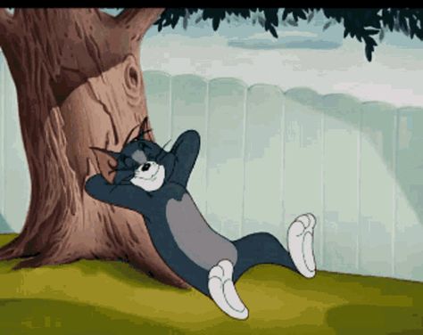 Tom And Jerry Gif, Tom The Cat, Tom And Jerry Pictures, Minion Gif, Jerry Cartoon, Disney Toms, Tom And Jerry Cartoon, Funny Emoji Faces, Animated Emoticons