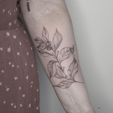 #tattoideas for #her Bean Plant Tattoo, Coffee Bean Plant, Coffee Plant Tattoo, Plant Tattoo Ideas, Hop Tattoo, Coffee Tattoos, Bean Plant, Plant Tattoo, Egyptian Tattoo