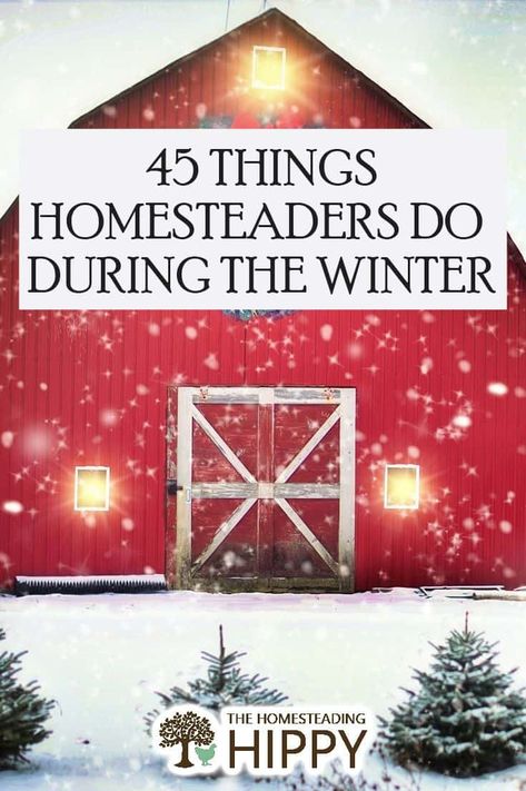 Winter Homesteading, Homesteading Diy Projects, Homestead Layout, Self Sufficient Homestead, Off Grid Homestead, Modern Homesteading, Homesteading Diy, Homestead Farm, Time To Rest