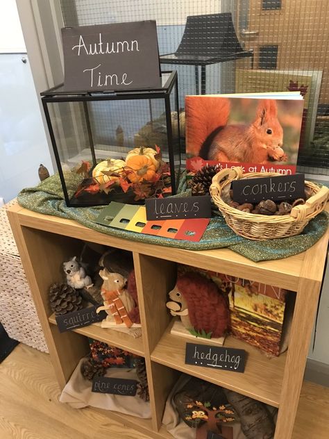 Seasons Provocations, Autumn Reception Activities, Curiosity Approach Halloween, Autumn Curiosity Approach, Harvest Eyfs, Home Corner Ideas, Eyfs Autumn, Autumn Eyfs Activities, Curiosity Approach Eyfs