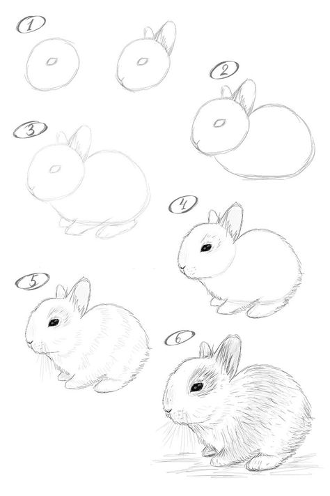 How to draw a bunny. Step-by-step drawing tutorial. Animal Drawing Tutorial Step By Step, Animal Drawings Sketches Step By Step, Step By Step Drawing Animals, Kids Drawing Easy, Draw A Bunny, Animal Sketches Easy, Bunny Sketches, Pencil Drawings For Beginners, Bunny Watercolor