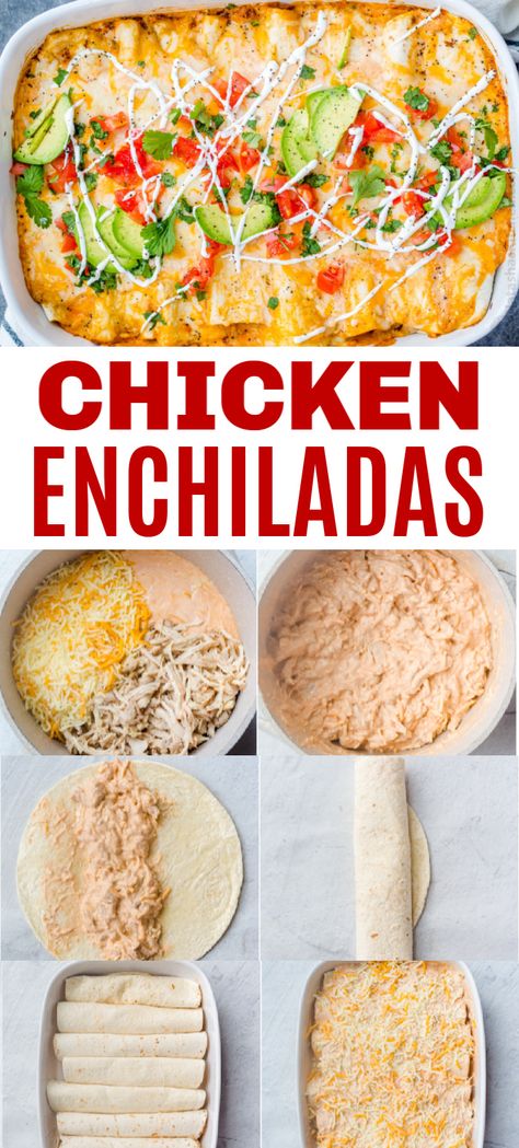 Mexican Chicken With Cheese Sauce, Mexican Chicken With Cheese, Chicken With Cheese Sauce, Chicken With Cheese, Chicken Enchiladas Recipe, Homemade Mexican, Homemade Enchilada Sauce, Homemade Enchiladas, Enchiladas Recipe