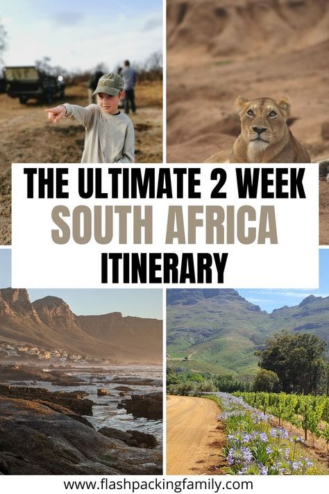 South Africa Destinations, Cape Town Itinerary, South Africa Itinerary, South Africa Travel Guide, Africa Itinerary, South Africa Safari, Epic 2, Safari Vacation, Cape Town Hotels