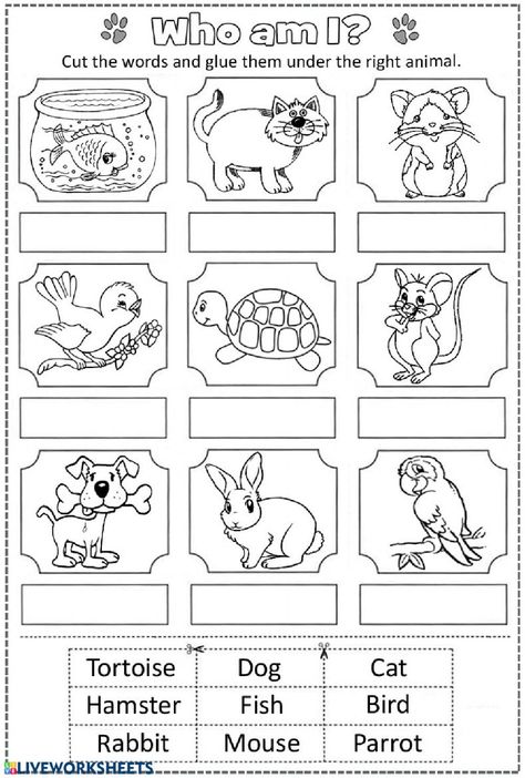 English Animals Worksheet, Worksheet Animals For Kids, Pet Animals Worksheets For Kids, Worksheets About Animals, Animals Worksheet For Grade 1, Pet Animals Worksheet, Animals Worksheet Kindergarten, Pets Activities For Kids, Animal Worksheets For Kids