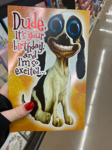 silly funny dog with big ass eyes Incelcore Outfit, French Core Aesthetic, Puppycore Outfits, Incelcore Aesthetic, Outfit Ideas Cutecore, Puppycore Aesthetic, Mommy Isuess Core, Coquette Pics, French Core