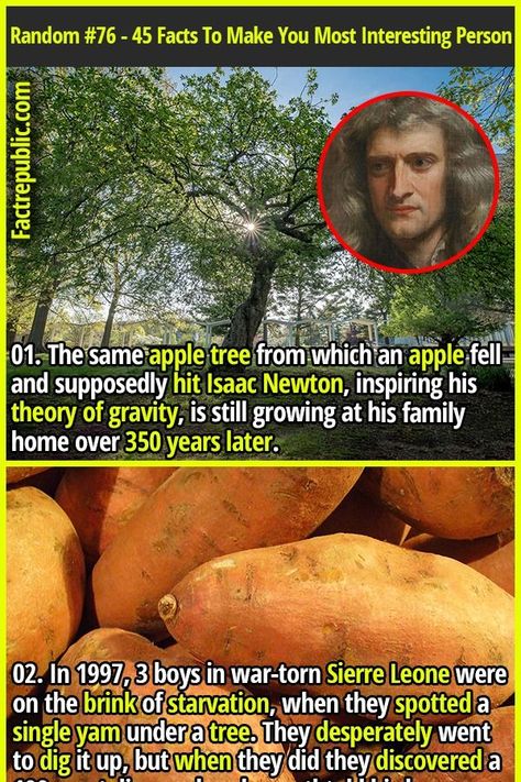 Apple Food, Science Knowledge, Fact Republic, Ancient History Facts, Isaac Newton, Ancient Tree, Old Tools, Fact Sheet, In The Room