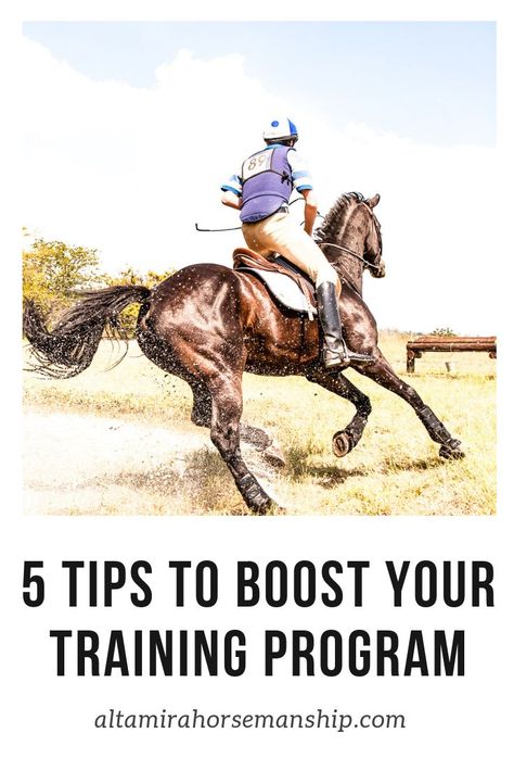 Equestrian Tips, Horse Breeding, Stable Ideas, Horse Products, Riding Tips, Horse Exercises, Equestrian Helmets, Equestrian Helmet, Horse Training Tips