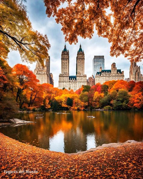 Central Park Aesthetic, Autumn Wallpaper Hd, Central Park Fall, London In October, New York City Central Park, Staten Island Ferry, Autumn In New York, Autumn Magic, Fall Prints