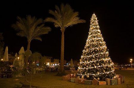 Christmas In EGYPT Christmas In Egypt, Celebration Around The World, Jesus Birthday, Buy Christmas Tree, Winter Decorations, Christmas Scenes, White Christmas Tree, Celebrate Christmas, Christmas Display