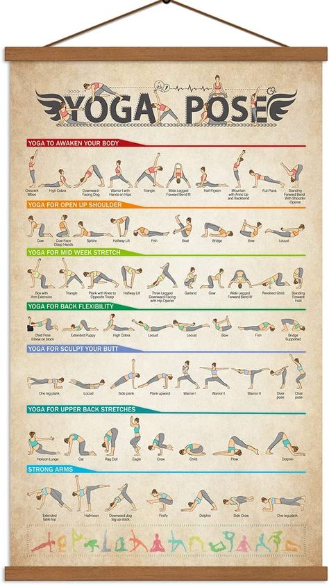 Full Body Workout Beginner, Gym Full Body Workout, Yoga Poses Poster, Yoga Poses Chart, Yoga Ideas, Back Flexibility, Yoga Hands, Full Body Workouts, Yoga Lover Gift