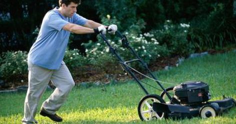 Is Mowing the Lawn an Exercise? | LIVESTRONG.COM