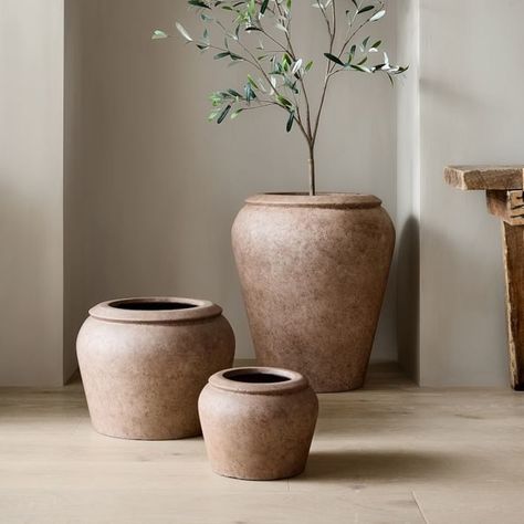 Black Olive Tree, Planter Liners, Outdoor Urns, Olive Plant, Colin King, West Elm Kids, Patio Planters, Garden Wallpaper, Indoor Outdoor Planter