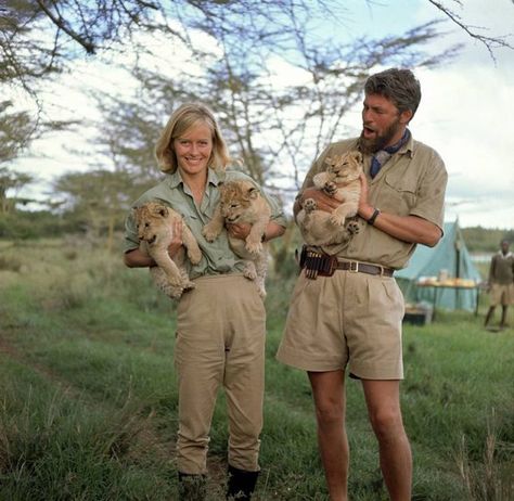 Lions thriving in nature reserve which inspired classic wildlife film Born Free - World News - Mirror Online Virginia Mckenna, Joy Adamson, Safari Outfit, هاكونا ماتاتا, Lion Cubs, Wildlife Biologist, Zoo Keeper, Born Free, Future Jobs