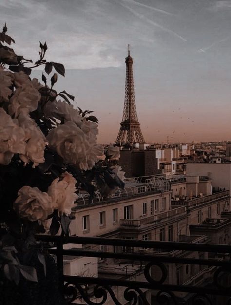 Dark Academia Wallpaper, Paris Wallpaper, Academia Wallpaper, Paris Pictures, Paris Aesthetic, Pretty Landscapes, Cute Simple Wallpapers, Beautiful Landscape Wallpaper, The Eiffel Tower