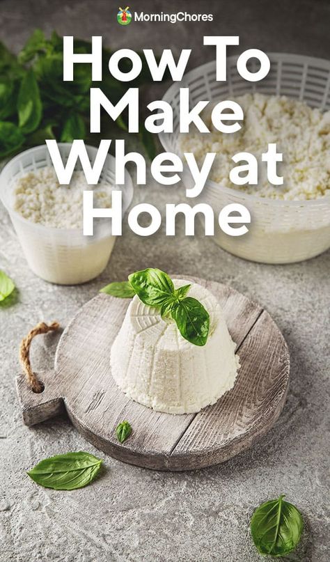 Diy Whey Protein Powder Homemade, Homemade Whey Protein Powder, How To Make Whey Protein Powder, Diy Whey Protein Powder, What To Do With Whey, Whey Protien, Best Whey Protein Powder, Whey Recipes, Whey Protein Recipes