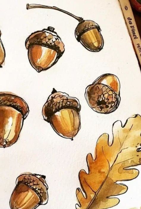 Oak Leaf Doodle, Acorn Watercolor Paintings, Autumn Leaves Sketch, Fall Leaves Sketch, Watercolour Acorn, Acorn Drawing Simple, Oak Leaves Drawing, Acorns Drawing, Cottagecore Drawing Ideas