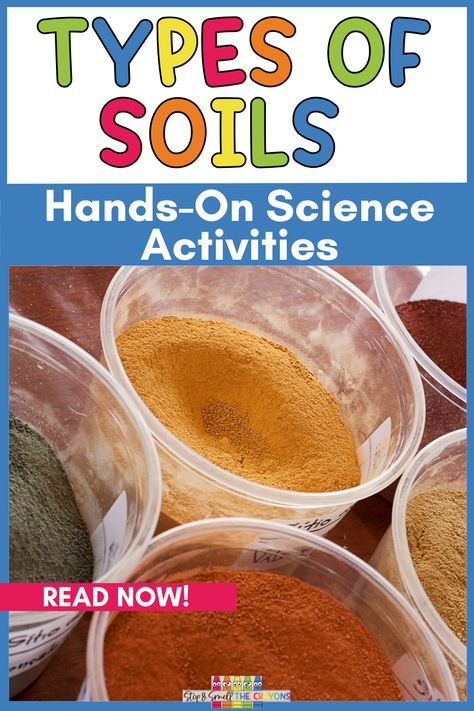 Kids are amazed to find out there are lots of different types of soil. Help them jump into the world of dirt, clay, silt and soil using these hands on science activities. This blog post is filled 5 creative activities you can use in your elementary science class. Perfect for homeschooling families too. From playing in the dirt to creating a class compost pail your students will be asking for more. Head over to the post and start adding these activities to your science lesson plans. Soil Experiments For Kids, Soil Stem Activities, Soil Activities For Preschool, Soil Activities For Kids, Hands On Science Activities, Types Of Soils, Environmental Science Activities, Soil Activities, Kids Gardening