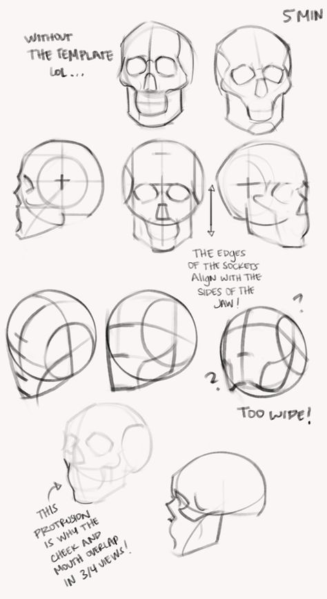 kingcholera: “Learning how to construct simplified heads in the October lesson! Drawing the skull is really helping me understand the jaw shape, and that is something I’ve struggled with for years. ” How To Draw Skulls, Skull Anatomy, Head Angles, Skull Reference, Human Anatomy Drawing, Skulls Drawing, Drawing Heads, Human Figure Drawing, Tutorials Drawing