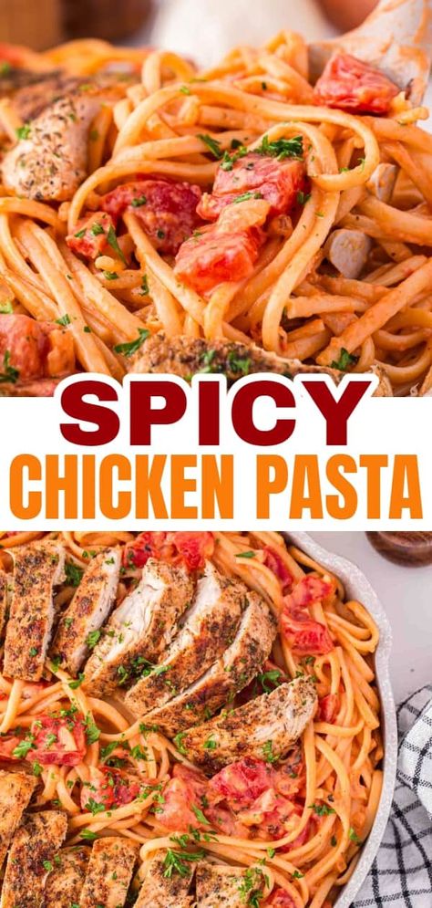 Spicy Linguine Recipes, Spicy Chicken Alfredo Recipe, Desert Fire Pasta, Chicken Pasta Recipes Red Sauce, Chicken Red Sauce Pasta, Chicken Pasta Red Sauce, Chicken Arrabiata Recipe, Fire Roasted Tomato Pasta, Pasta Roni Recipes