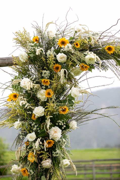 This wedding arbor was filled with sunflowers, white garden roses, solidago, and fine textures to mimic a June wildflower meadow in the Bighorn Moutaints for this June ceremony. Sunflower Wedding Altar, Sunflower For Wedding, Sunflower Yellow Wedding Theme, White Sunflower Bouquet Wedding, Dusty Rose And Sunflower Wedding, Wedding Flower Arrangements Sunflowers, White And Sunflower Wedding, Sunflowers At Wedding, Spring Wedding Sunflowers