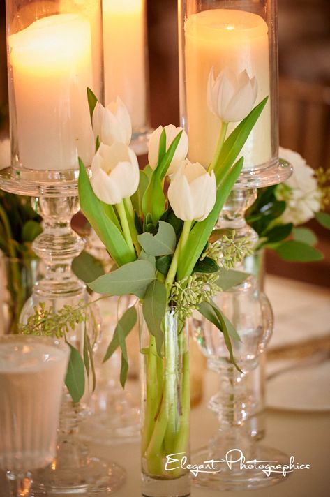 Tulip Decorations Table, Tulip Bud Vase Wedding, Tulips In Bud Vases, White Tulips Centerpiece Wedding, Simple Tulip Centerpieces, Tulip Table Arrangements, Wedding Centerpieces Tulips, Tulip Wedding Theme Table Settings, White Tulips Wedding Decoration