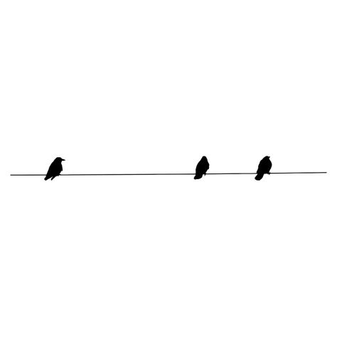 Birds On A Wire Silhouette | Free SVG 3 Birds On A Wire Tattoo, Wire Silhouette, Small Bird Tattoos, National Day Saudi, Birds On A Wire, Bird Tattoos, Camper Life, Silhouette Free, Birds Tattoo