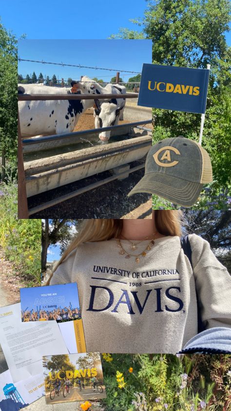 Davis Aesthetic, University Inspiration, Davis California, Uc Davis, Manifestation Board, Future Career, Dream Board, University Of California, Dream Life