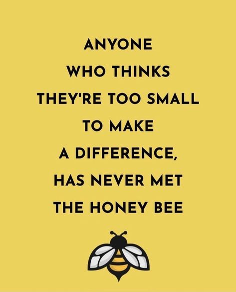 Honey Bee Sayings, Bee Quotes Wisdom, Bumble Bee Quotes, Bee Quotes Inspiration, Bee Quotes, Bee Themed Classroom, Bee Classroom, Honey Bee Decor, Bee Party